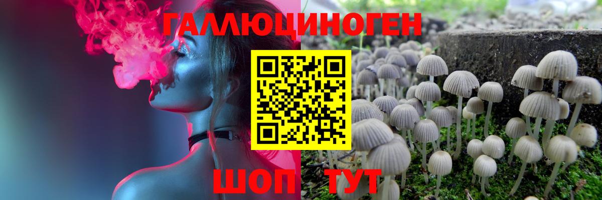 Псилоцибиновые грибы мицелий  Вход с VPN  Солнечногорск 