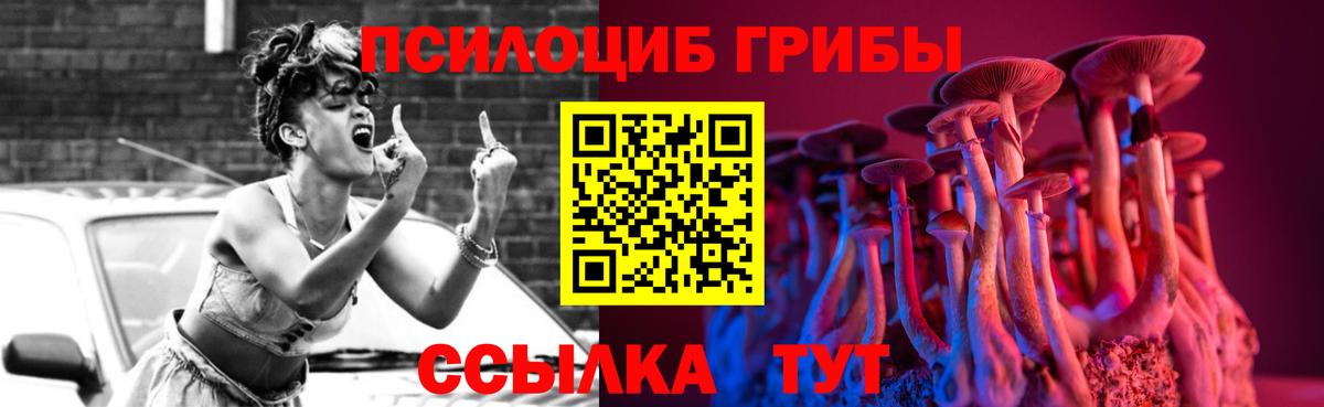 Галлюциногенные грибы Cubensis Солнечногорск